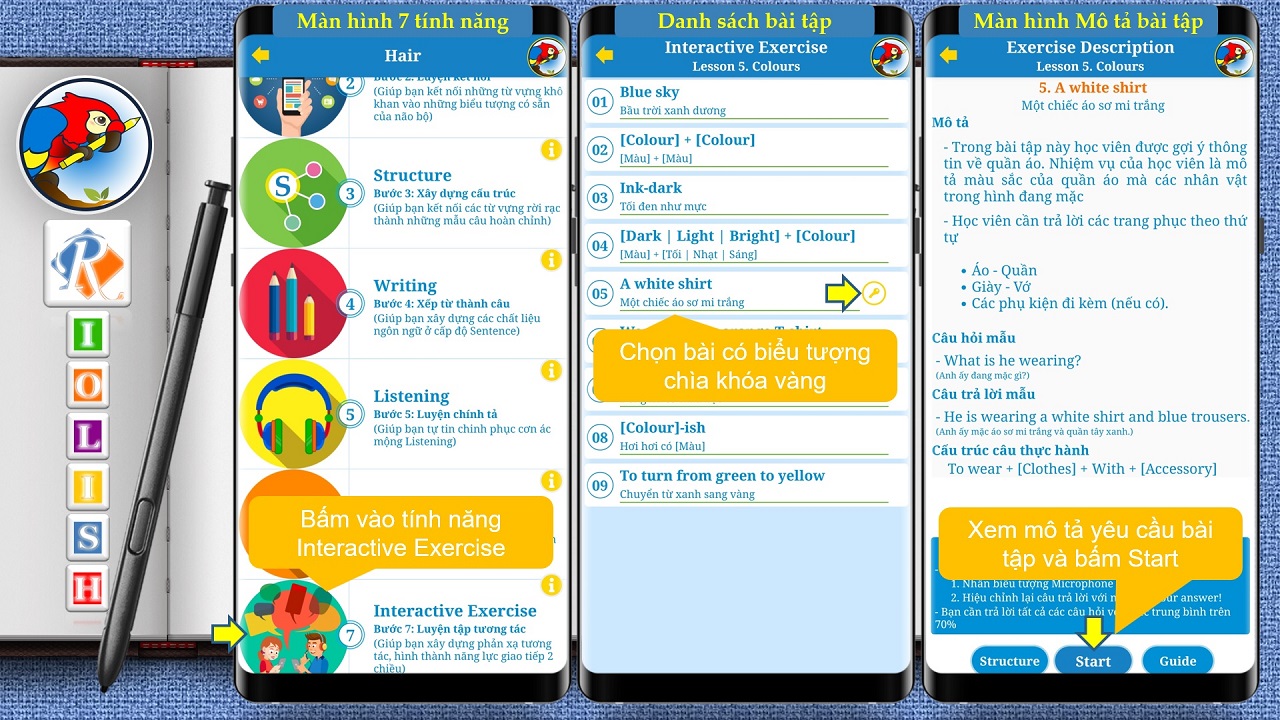 11.-interactive-exercise