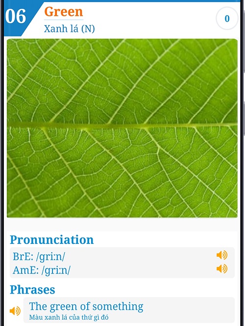 vocabulary-iflashcard