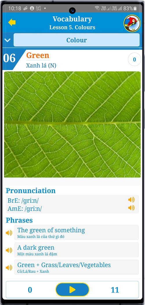 riolish-vocabulary-quick-learning-6-flashcard